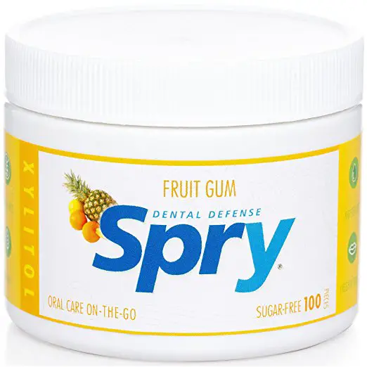 ADHD Sugar Free Diet Spry Fruit Chewing Gum