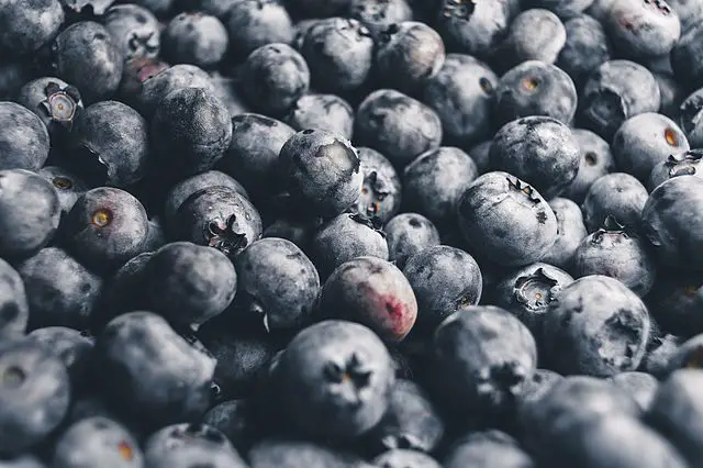 Fruits and Vegetables for ADHD Blueberries