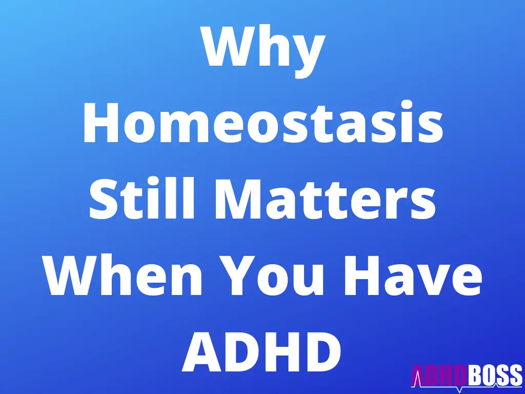 Why Homeostasis Still Matters When You Have ADHD